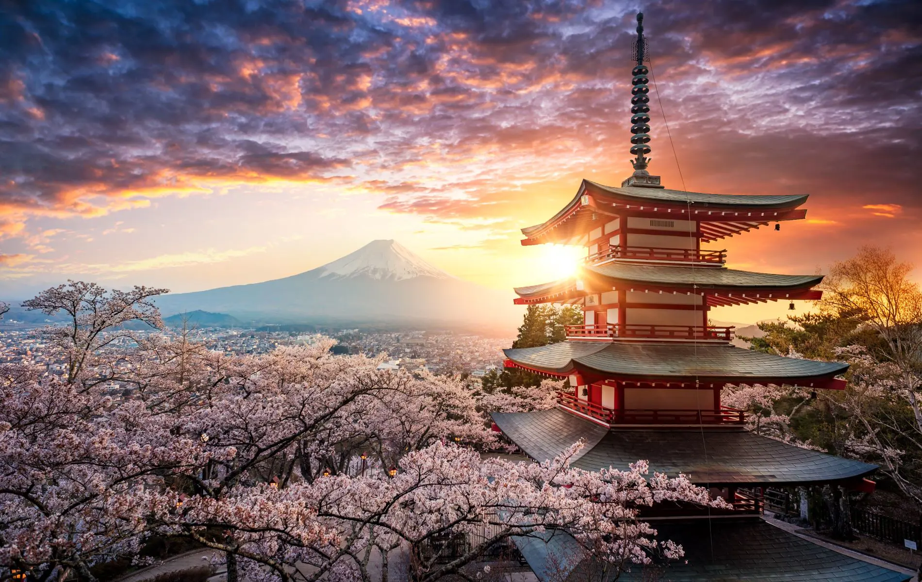 1755069472011_Monte Fuji_20210321192312-4